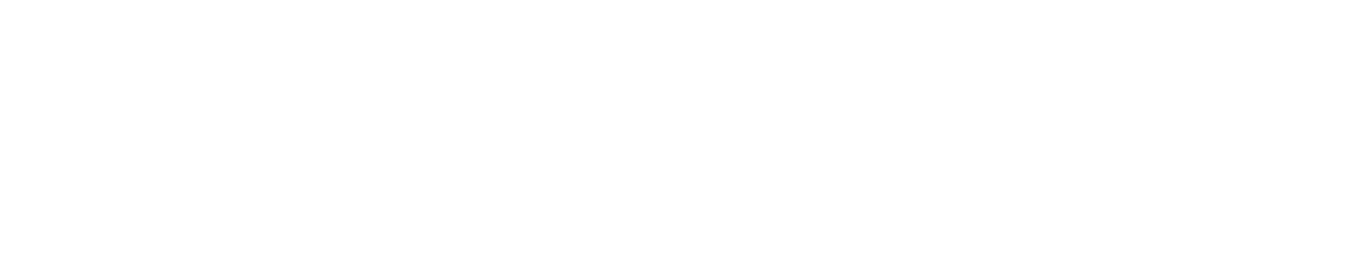 X Congreso Nacional Medialia