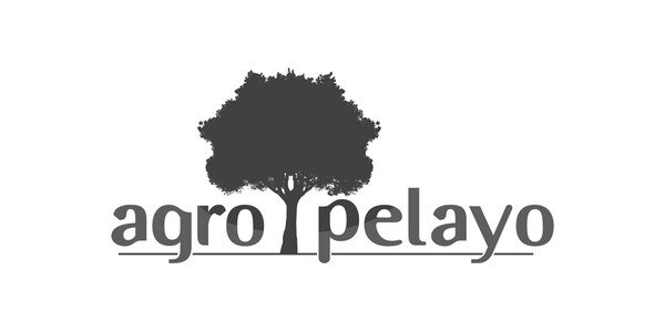 Oficina Medialia Group Palma de Mallorca
